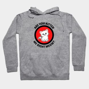 Are You Kitten Me Right Meow - Cute Cat Pun Hoodie